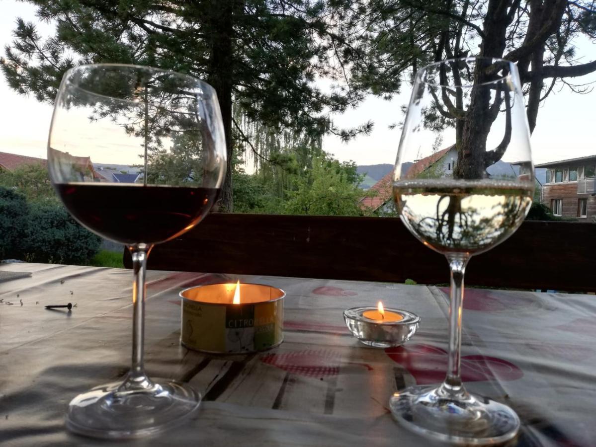 Ferienwohnung Bliem Feldkirchen in Kärnten Exteriör bild