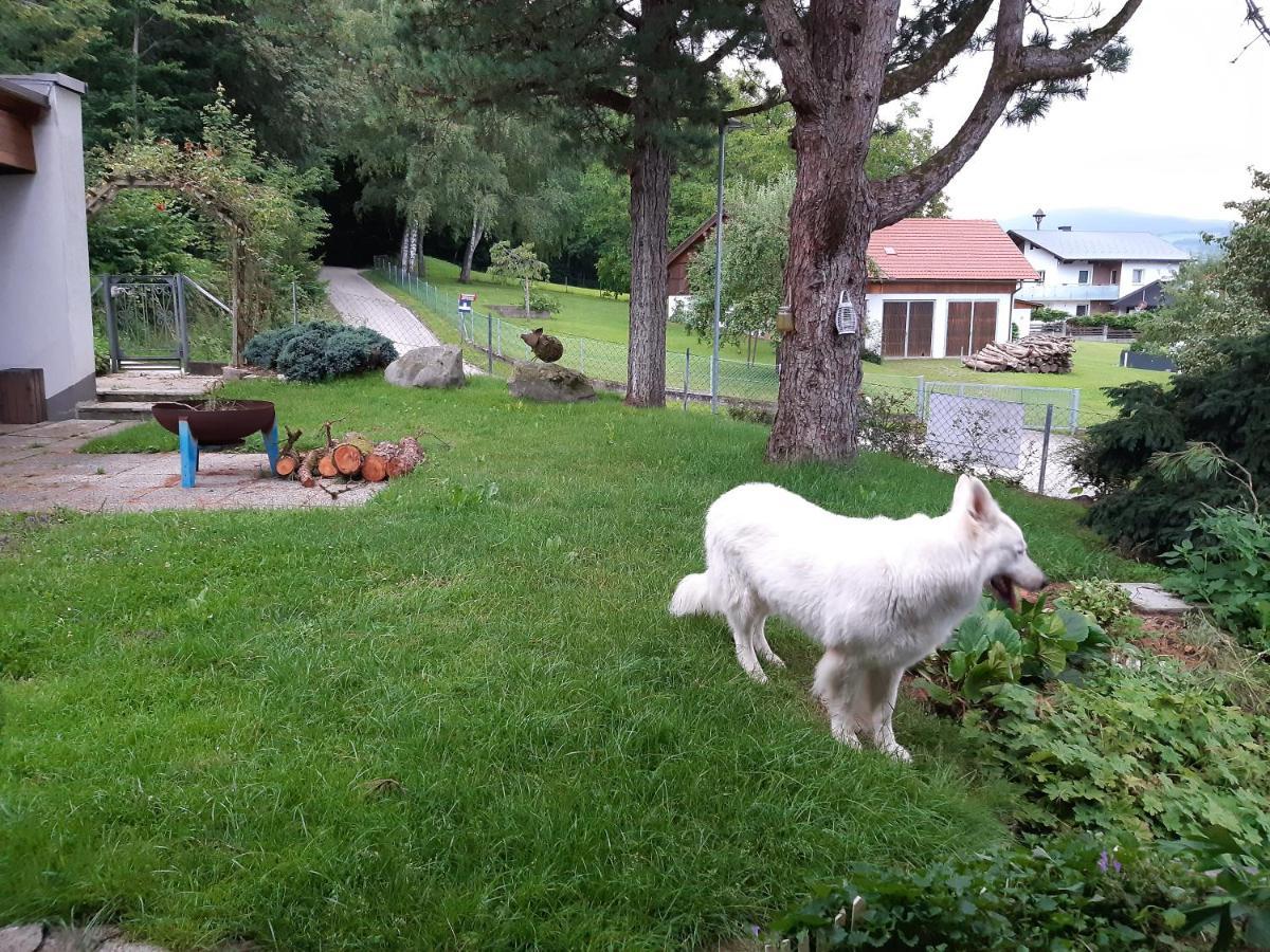 Ferienwohnung Bliem Feldkirchen in Kärnten Exteriör bild